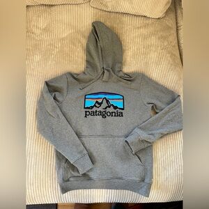 Patagonia Gray Hoodie with Multicolor Mountain Logo